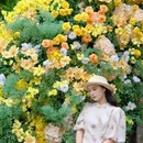 温州旅游 缩略图 18