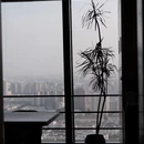 苏州旅游 缩略图 6