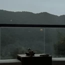 黄山旅游 缩略图 7