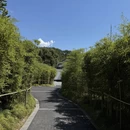 金华旅游 缩略图 9