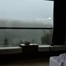 黄山旅游 缩略图 1