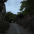 金华旅游 缩略图 15
