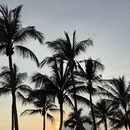 三亚旅游 缩略图 4