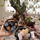 苏州旅游 缩略图 4