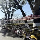上海旅游 缩略图 10