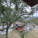 九江旅游 缩略图 6