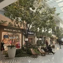 苏州旅游 缩略图 6