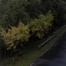 杭州旅游 缩略图 18