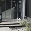 杭州旅游 缩略图 16