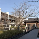 苏州旅游 缩略图 3