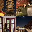 杭州旅游 缩略图 7