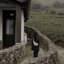黄山旅游 缩略图 13