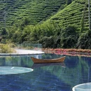 湖州旅游 缩略图 7