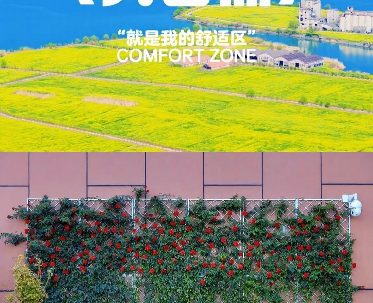 苏州旅游 1