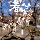 苏州旅游 缩略图 2