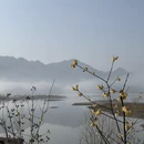 杭州旅游 缩略图 4