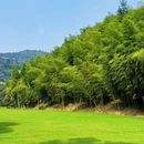 湖州旅游 缩略图 9