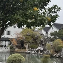 苏州旅游 缩略图 4