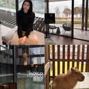 苏州旅游 缩略图 1