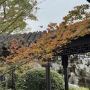 苏州旅游 缩略图 3