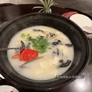 黄山旅游 缩略图 11