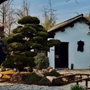 上海旅游 缩略图 3