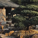 上海旅游 缩略图 1