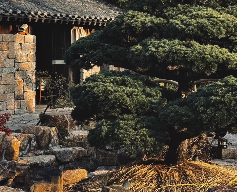 上海旅游 1