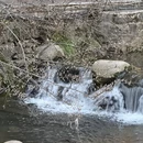 黄山旅游 缩略图 18