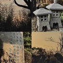 上海旅游 缩略图 8