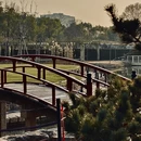 上海旅游 缩略图 16