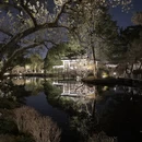 上海旅游 缩略图 8