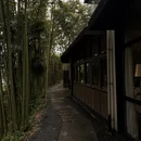 杭州旅游 缩略图 15