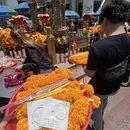 南宁旅游 缩略图 7