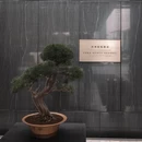 苏州旅游 缩略图 12