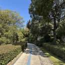杭州旅游 缩略图 5