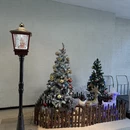杭州旅游 缩略图 7