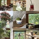 黄山旅游 缩略图 1