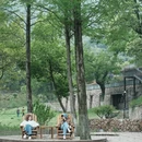 湖州旅游 缩略图 4