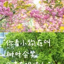 苏州旅游 缩略图 1
