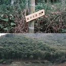 湖州旅游 缩略图 16