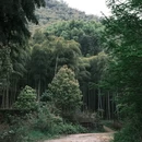 湖州旅游 缩略图 18