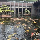 上海旅游 缩略图 9