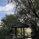 杭州旅游 缩略图 5