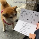 苏州旅游 缩略图 1