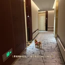 苏州旅游 缩略图 8