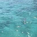 三亚旅游 缩略图 11