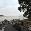 苏州旅游 缩略图 6