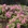 洛阳