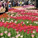 北京旅游 缩略图 9